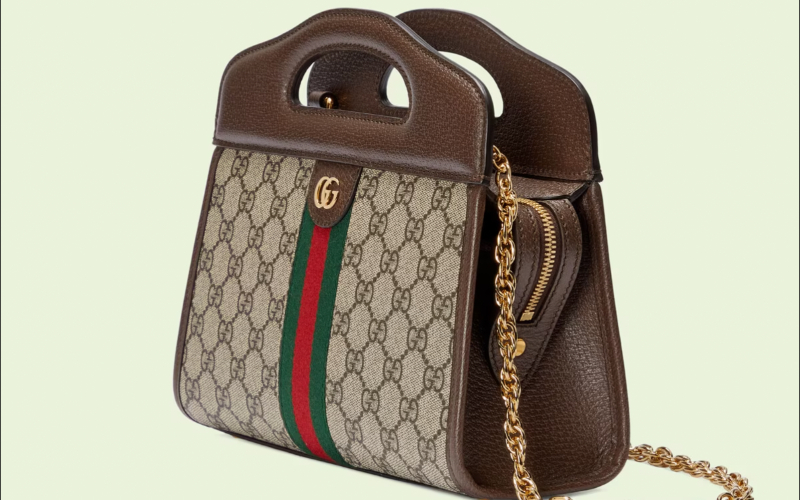 Ophidia small tote with Web $ 17,000